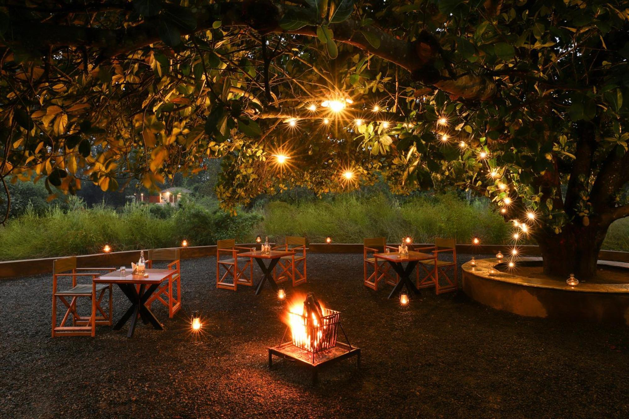 Lemon Tree Wildlife Resort, Kānha 외부 사진